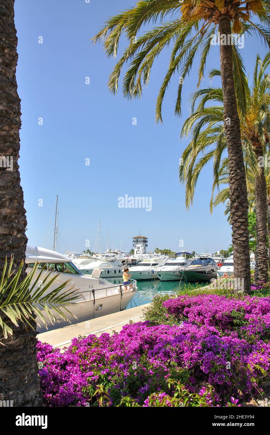 Blick auf den Yachthafen, Puerto Portals, Portal Nous / Bendinat, Gemeinde Palma, Mallorca (Mallorca), Balearen, Spanien Stockfoto