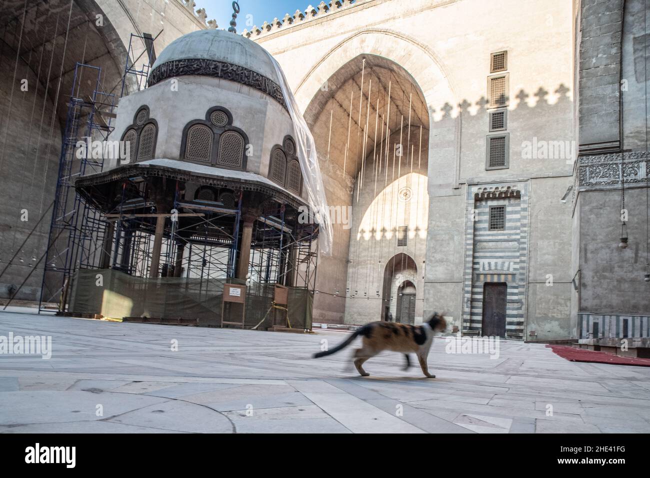 Eine Katze wandert durch den Innenhof der Moschee von Al-Sultan Hassan im historischen Viertel von Kairo, Ägypten. Stockfoto