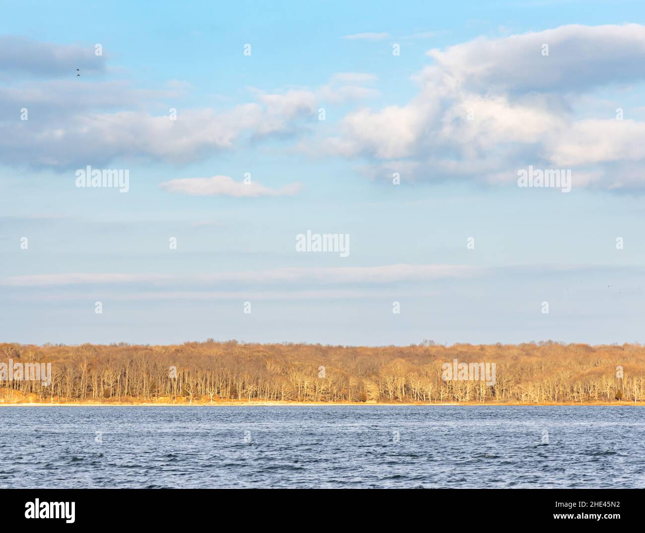 Winterlandschaft von Shelter Island, NY Stockfoto