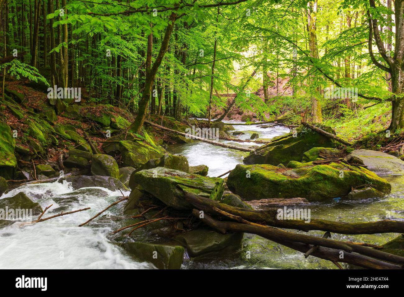Waldfluss im Frühling. Wasser fließt zwischen den moosigen Felsen. Erfrischender Naturhintergrund. Schöne Landschaft an einem sonnigen Tag Stockfoto