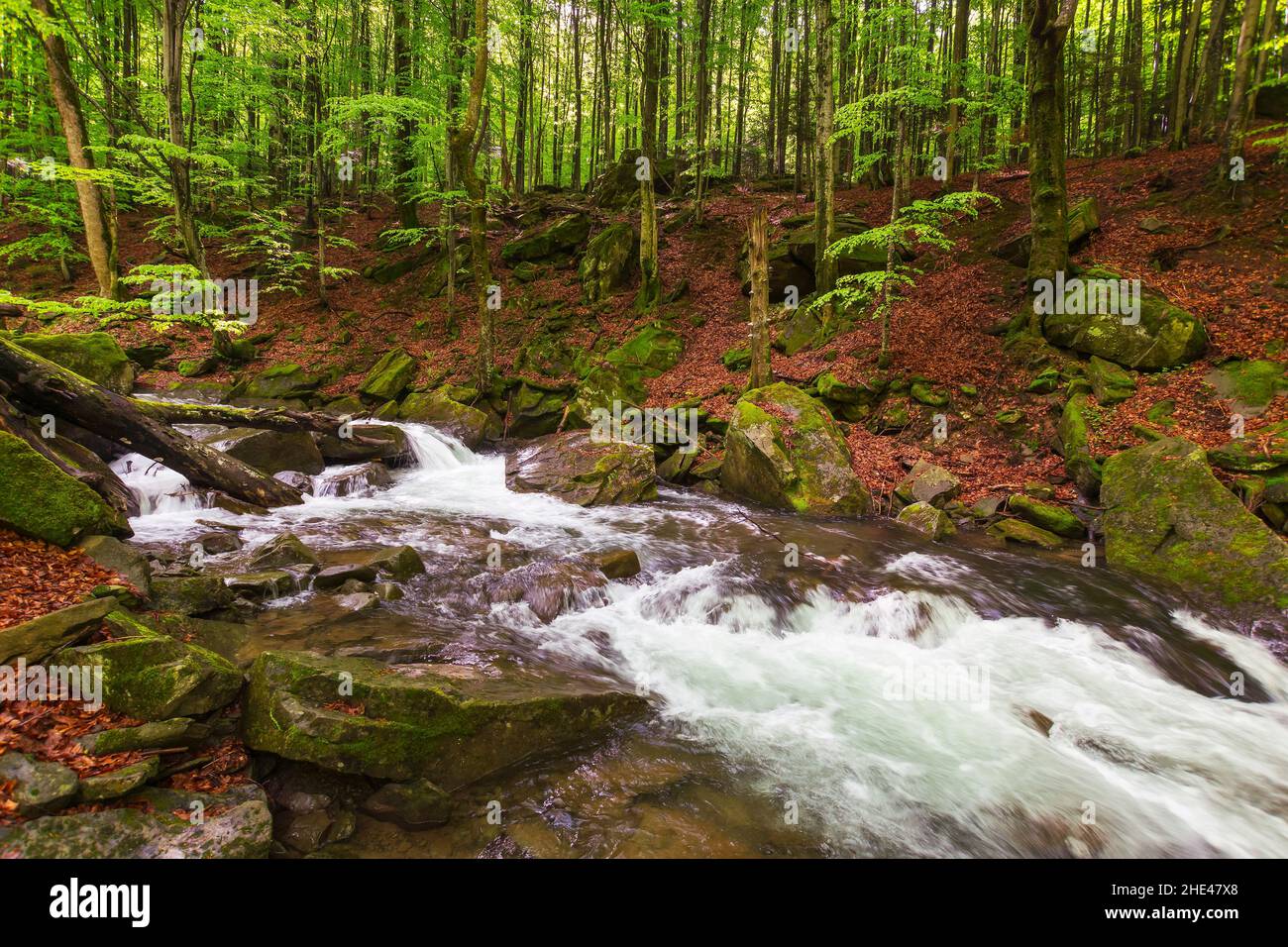 Waldfluss im Frühling. Wasser fließt zwischen den moosigen Felsen. Erfrischender Naturhintergrund. Schöne Landschaft an einem sonnigen Tag Stockfoto