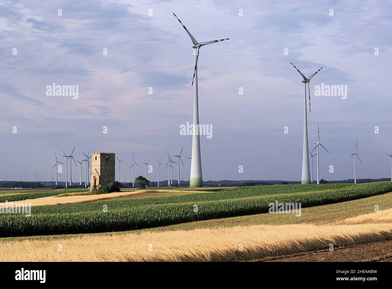 Windmühlen und Feld bei Sonnenuntergang, Österreich in der Nähe der slowakischen Grenzen, Europa Stockfoto