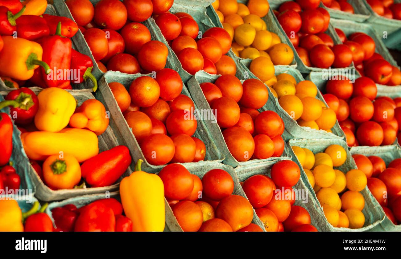 Tomaten und Paprika zum Verkauf in Körben auf dem Bauernmarkt im Herbst Stockfoto