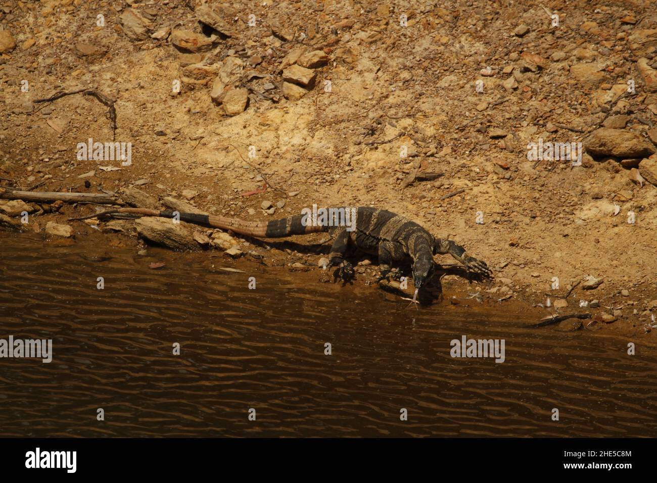 Zunge einer glocke Fotos und Bildmaterial in hoher Auflösung Alamy