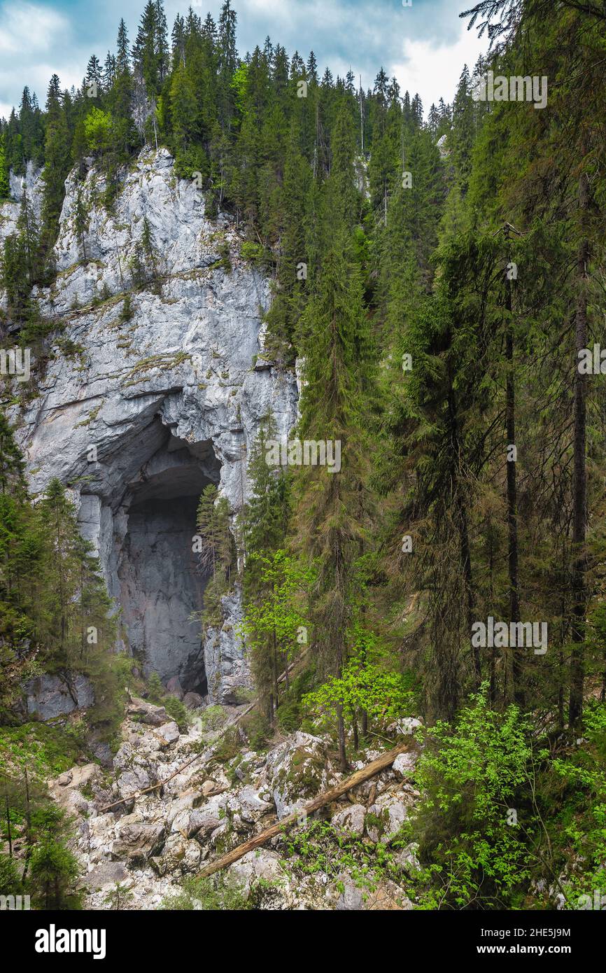 Einer der schönsten Höhleneingang in den Karpaten. Cetatile Ponorului Höhle im Apuseni Gebirge, Karpaten, Rumänien, Europa Stockfoto