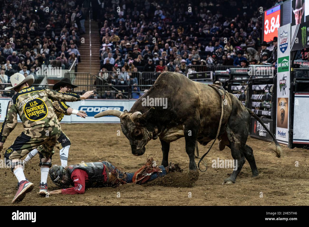 New York, NY - 8. Januar 2022: Silvano Alves von Pilar do Sul, Brasilien reitet während des 2nd. PBR-Tages auf einem Stier Unleash the Beast im Madison Square Garden Stockfoto