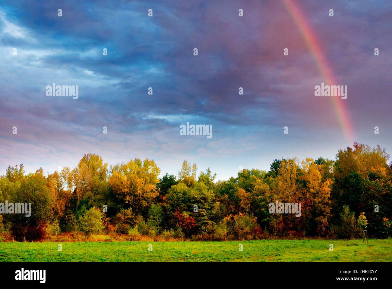 Landschaft aus Wiesen und Bäumen in Herbstfarben und Regenbogen am Himmel Stockfoto