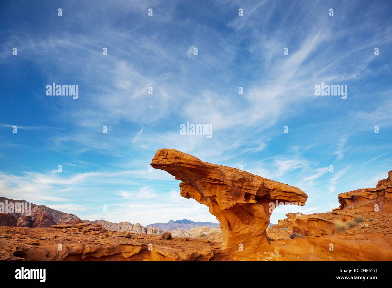 Felsvorsprung im Gold Butte National Monument, Nevada, USA. Stockfoto