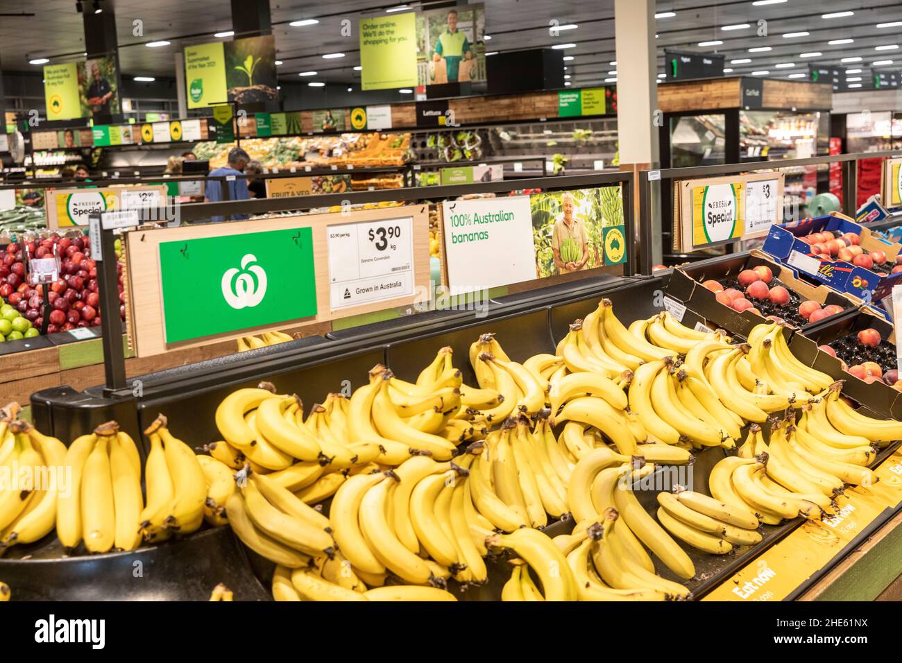 Australische Bananen frisches Obst zum Verkauf in einem Woolworths Sydney Supermarkt im Frischobst-Bereich, NSW, Australien Stockfoto
