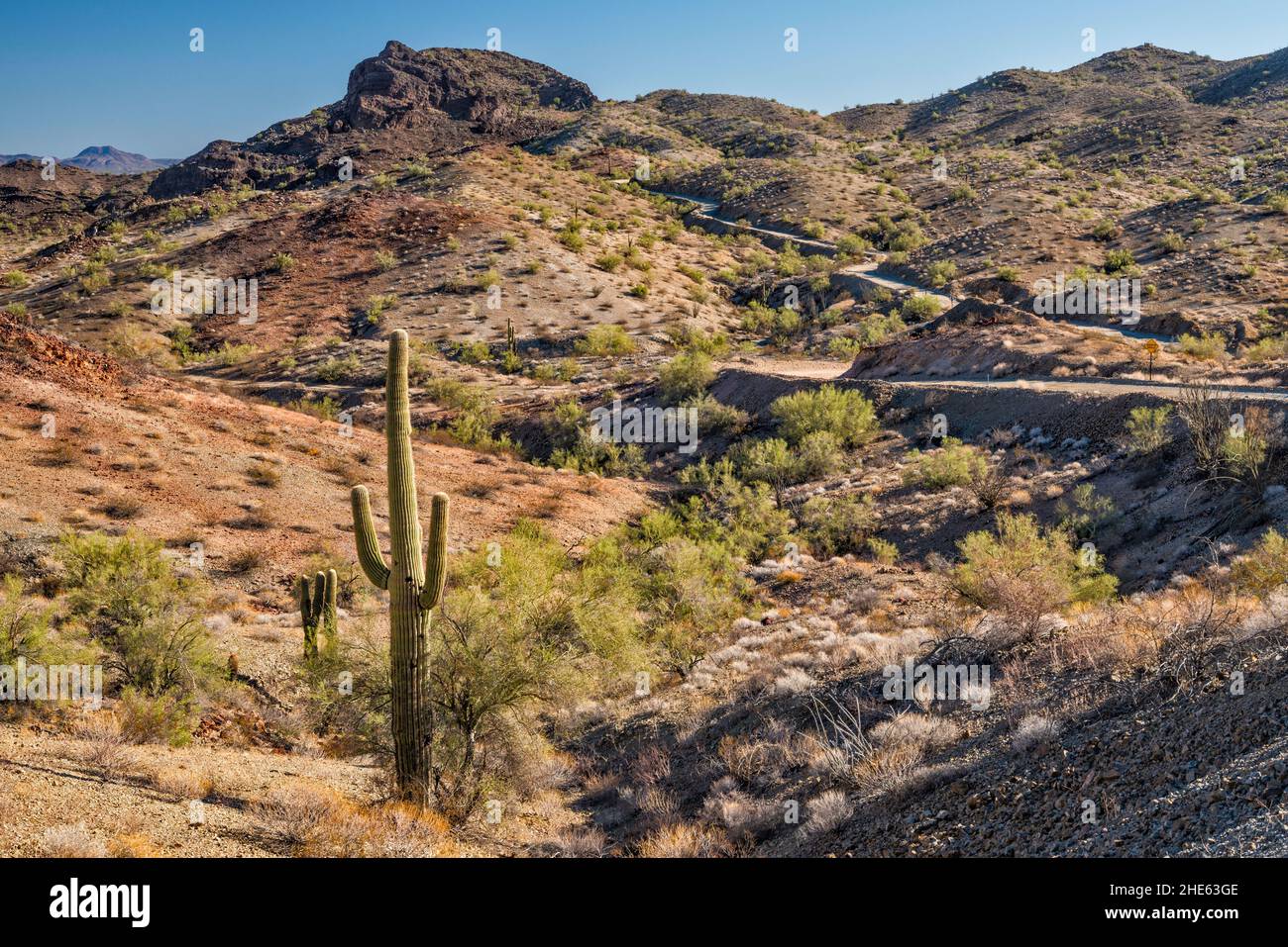 Buckskin Mountains, Swansea Mine Road, Sonoran Desert, Arizona, USA Stockfoto