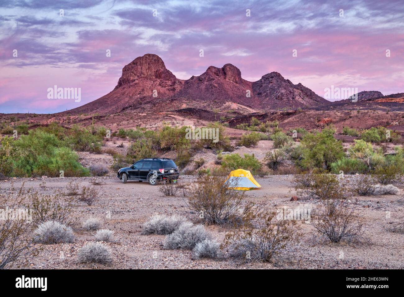 Four Peaks, Campingplatz, im Morgengrauen, Straße 0080, Plomosa Mountains, Sonoran Desert, Arizona, USA Stockfoto