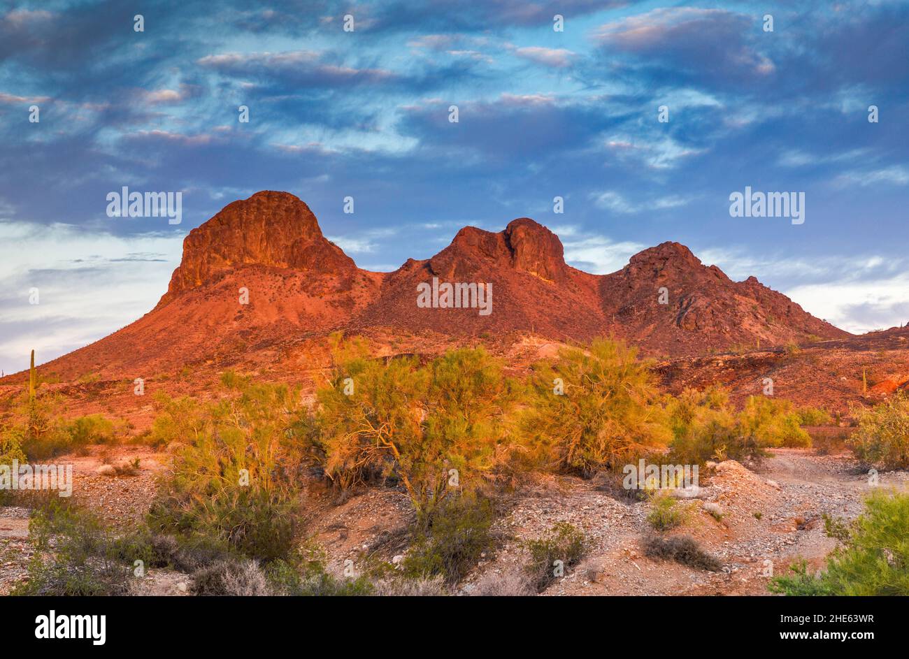 Four Peaks, bei Sonnenaufgang, Road 0080, Plomosa Mountains, Sonoran Desert, Arizona, USA Stockfoto