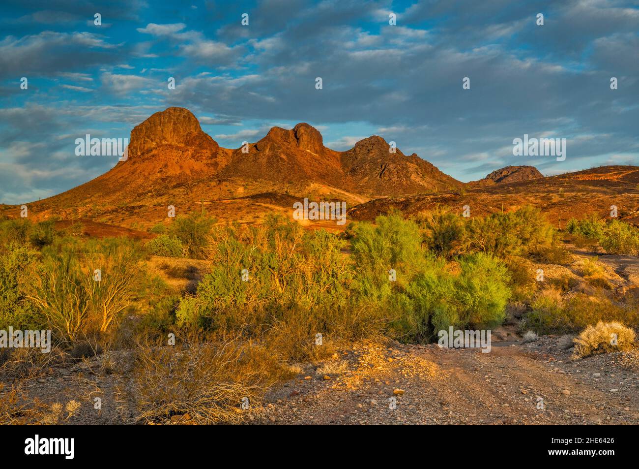 Four Peaks, bei Sonnenaufgang, Road 0080, Plomosa Mountains, Sonoran Desert, Arizona, USA Stockfoto