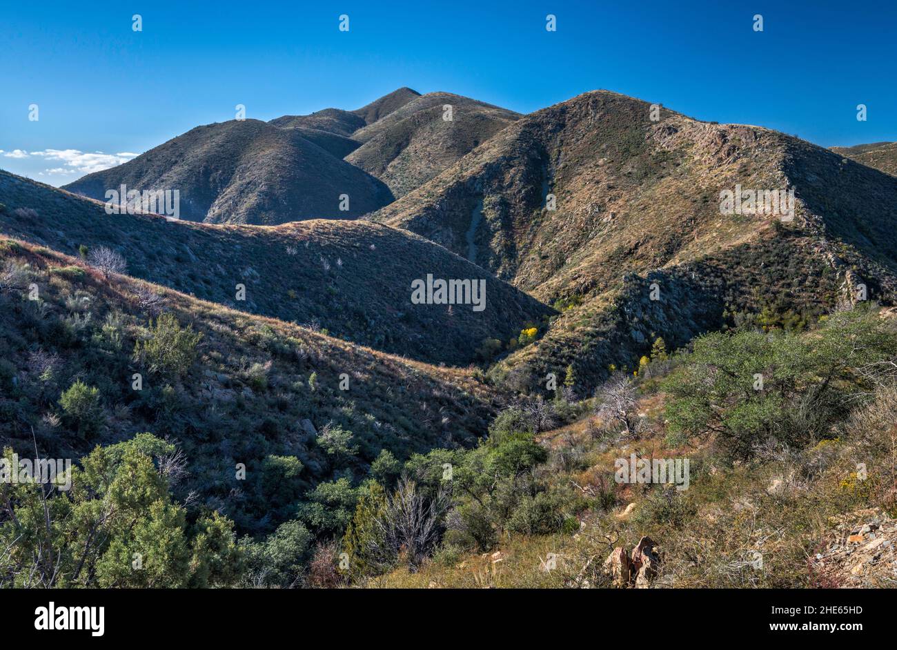 Brady Butte, Massiv in den Bradshaw Mountains, Blick von der Pine Flat Road 177, Prescott National Forest, Arizona, USA Stockfoto