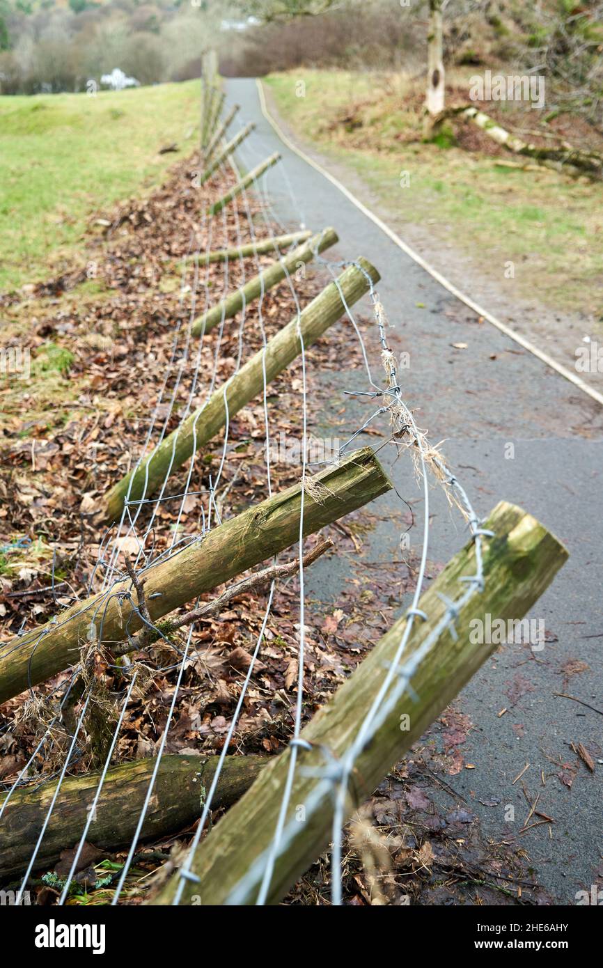 Ein Mast und ein Drahtzaun wurden nach den jüngsten Stürmen überwehen Stockfoto