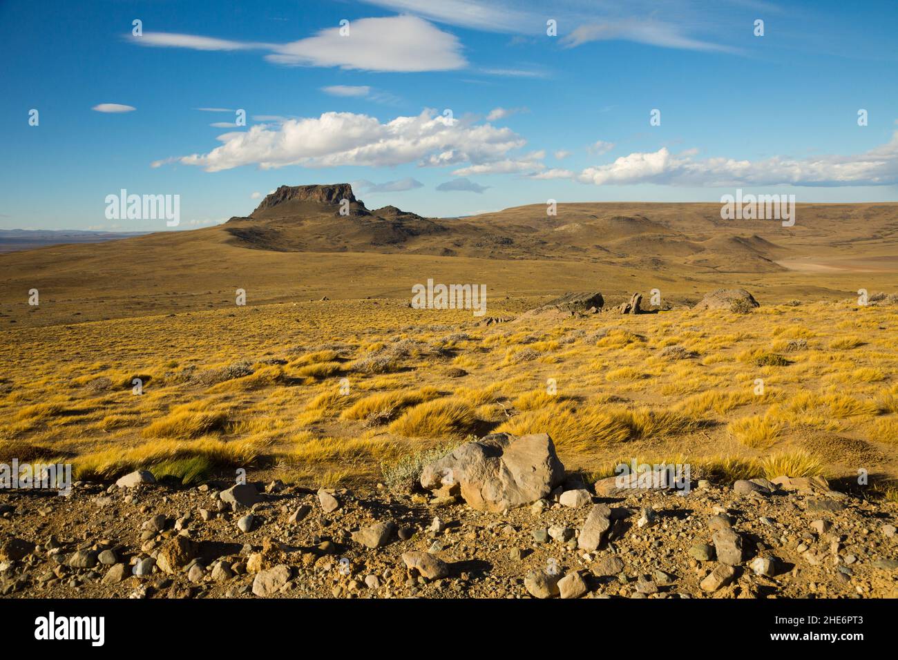 Blick auf die Steppenlandschaft von Pampas, Argentinien Stockfoto