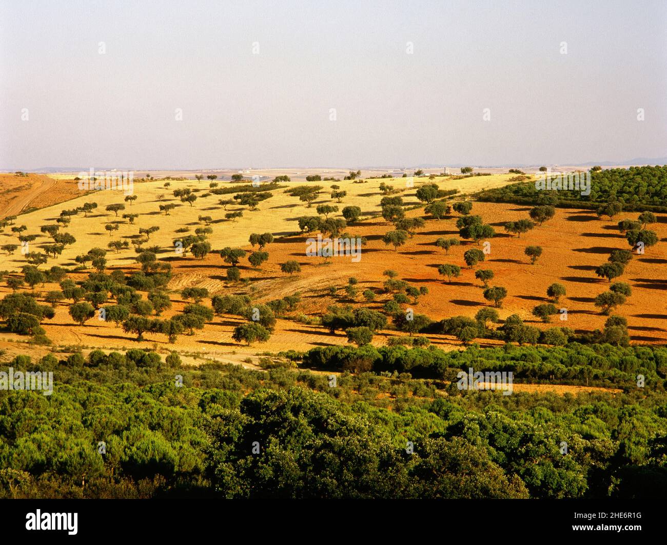 Spanien, Extremadura, Provinz Badajoz. Panoramablick auf die Landschaft der Region La Serena, Richtung Puerto de La Nava. Stockfoto