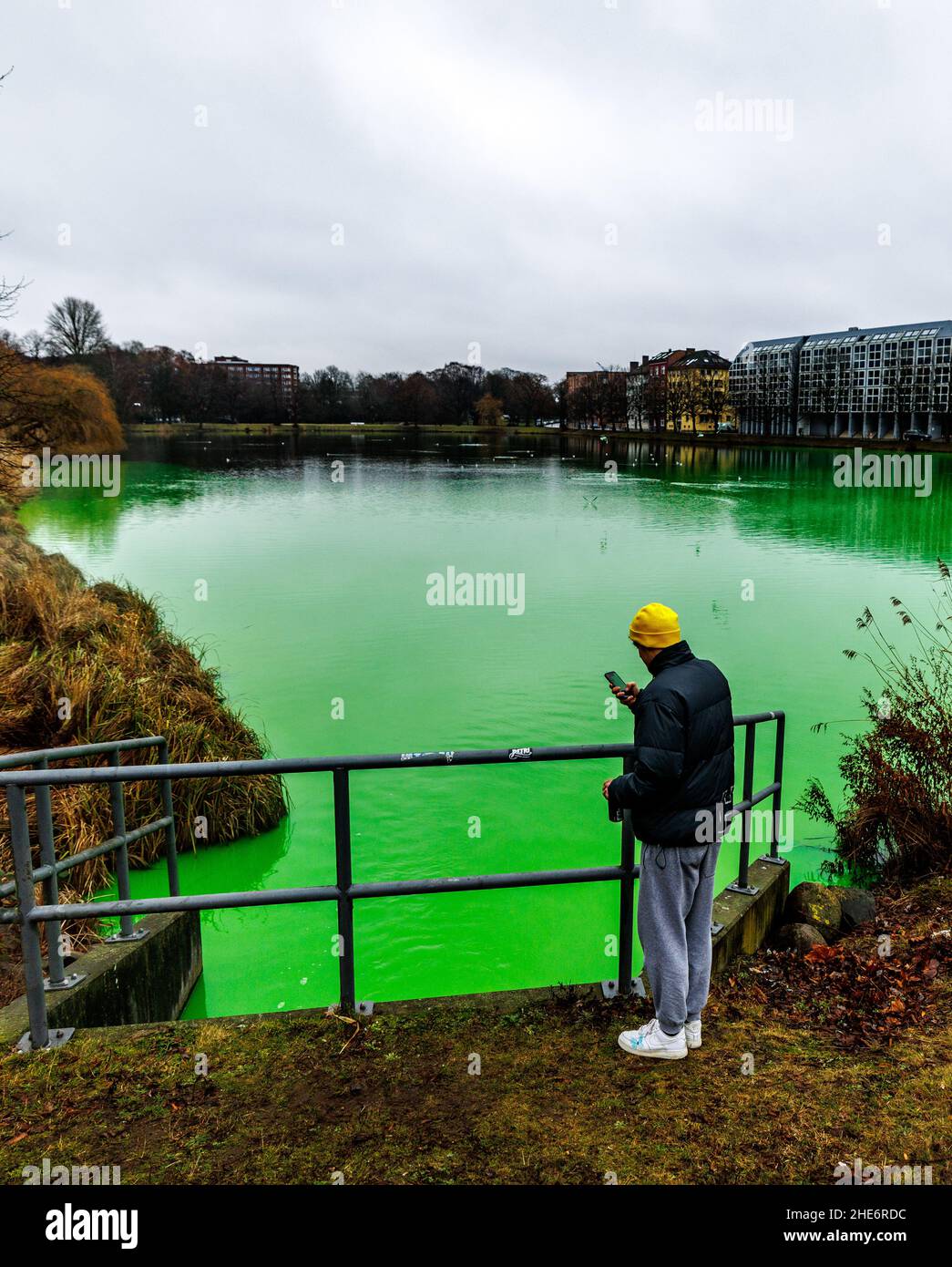 Kiel, Deutschland. 09th Januar 2022. Ein Mann macht mit seinem Smartphone ein Foto des grünen 'kleinen Keels'. Das zur Kieler Förde gehörende Gewässer in der Innenstadt ist durch den Zufluss von Wasser aus einem gebrochenen Rohr in der Fernwärmeleitung grün gefärbt. Nach Angaben der Stadtwerke ist der grüne Farbstoff im Fernwärmewasser für Umwelt und Gesundheit ungefährlich. Quelle: Axel Heimken/dpa/Alamy Live News Stockfoto