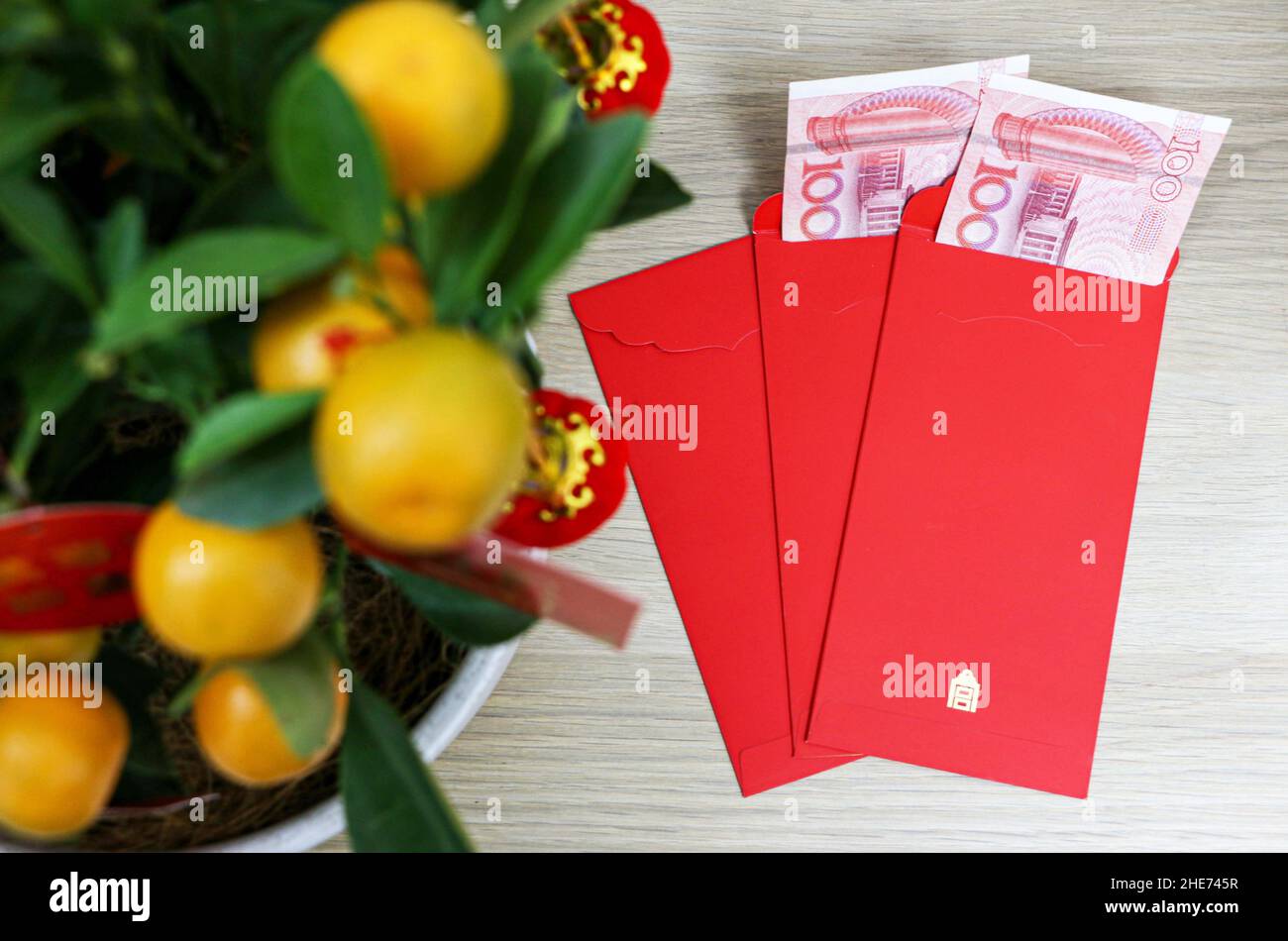Chinesische Neujahrsbriefumschläge mit Geld im Inneren, auf einem Holztisch unter der glücklichen Kumquat-Pflanze, repräsentieren Kumquat-Pflanzen Reichtum, Wohlstand und Glück Stockfoto