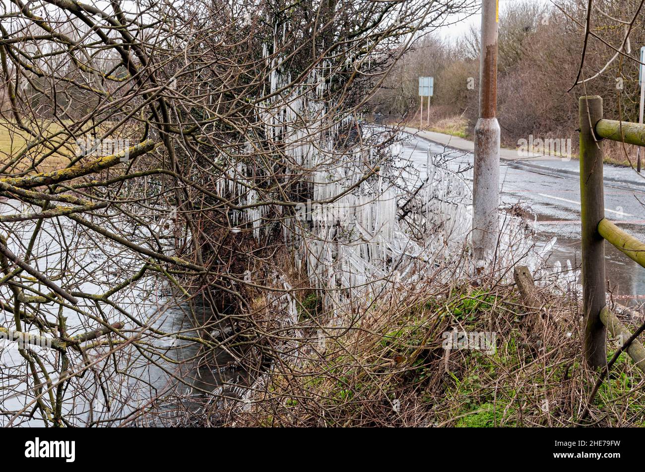 Ende Februar haben eisige Temperaturen eine Reihe glitzernder Eiszapfen an den Ästen eines am Wasser anbauenden Baumes in den West Midlands gebildet Stockfoto