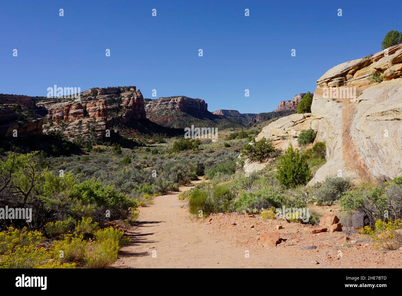 Wandern auf dem Devils Kitchen Trail im Colorado National Monument Stockfoto