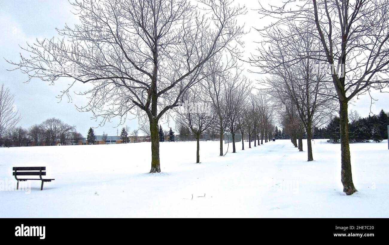 Eine ruhige Szene des Fußweges mit Bäumen gesäumten nach einem starken Schneefall, Winterlandschaft. Stockfoto