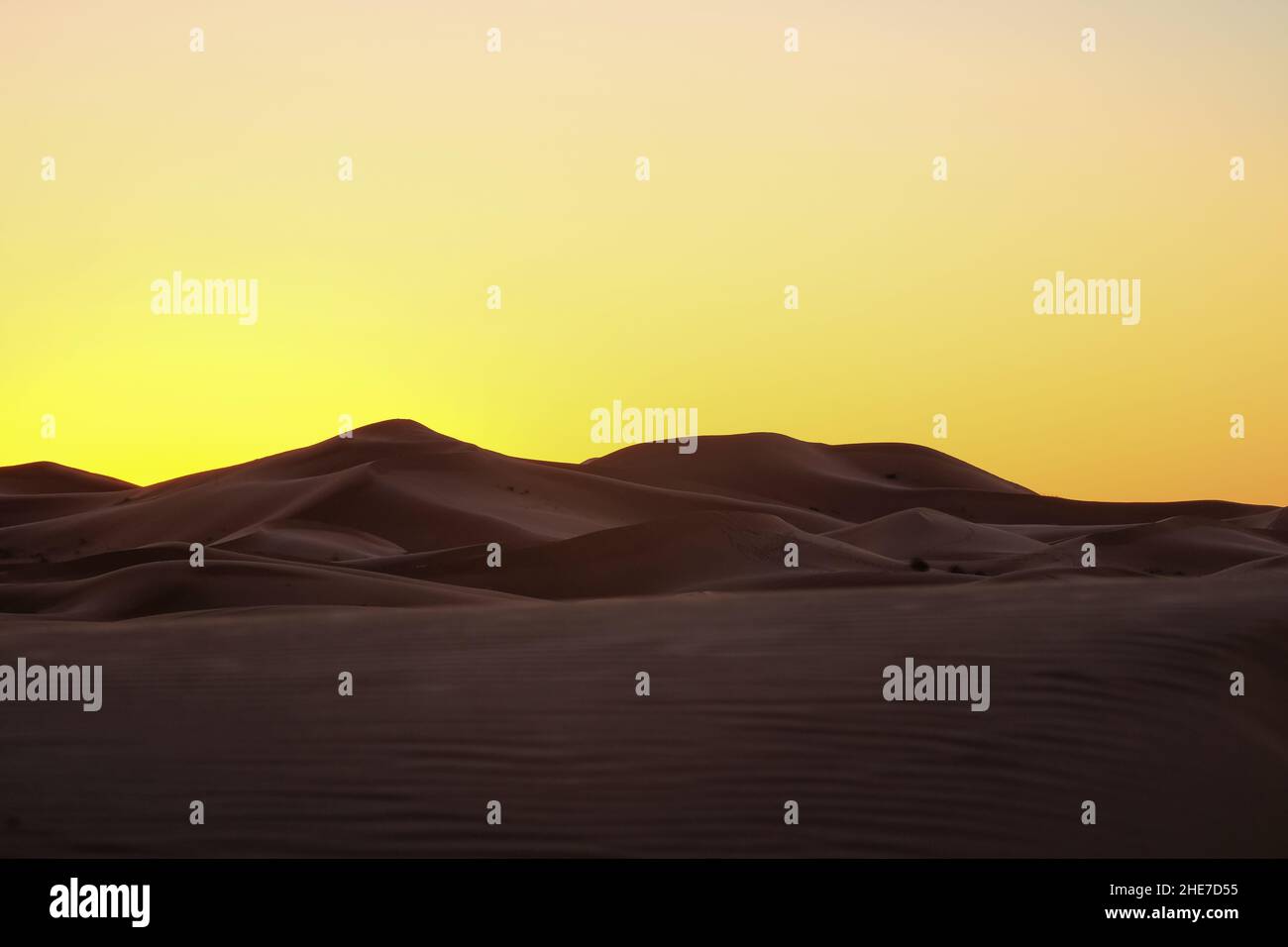 Wüste vor Sonnenaufgang Stockfoto