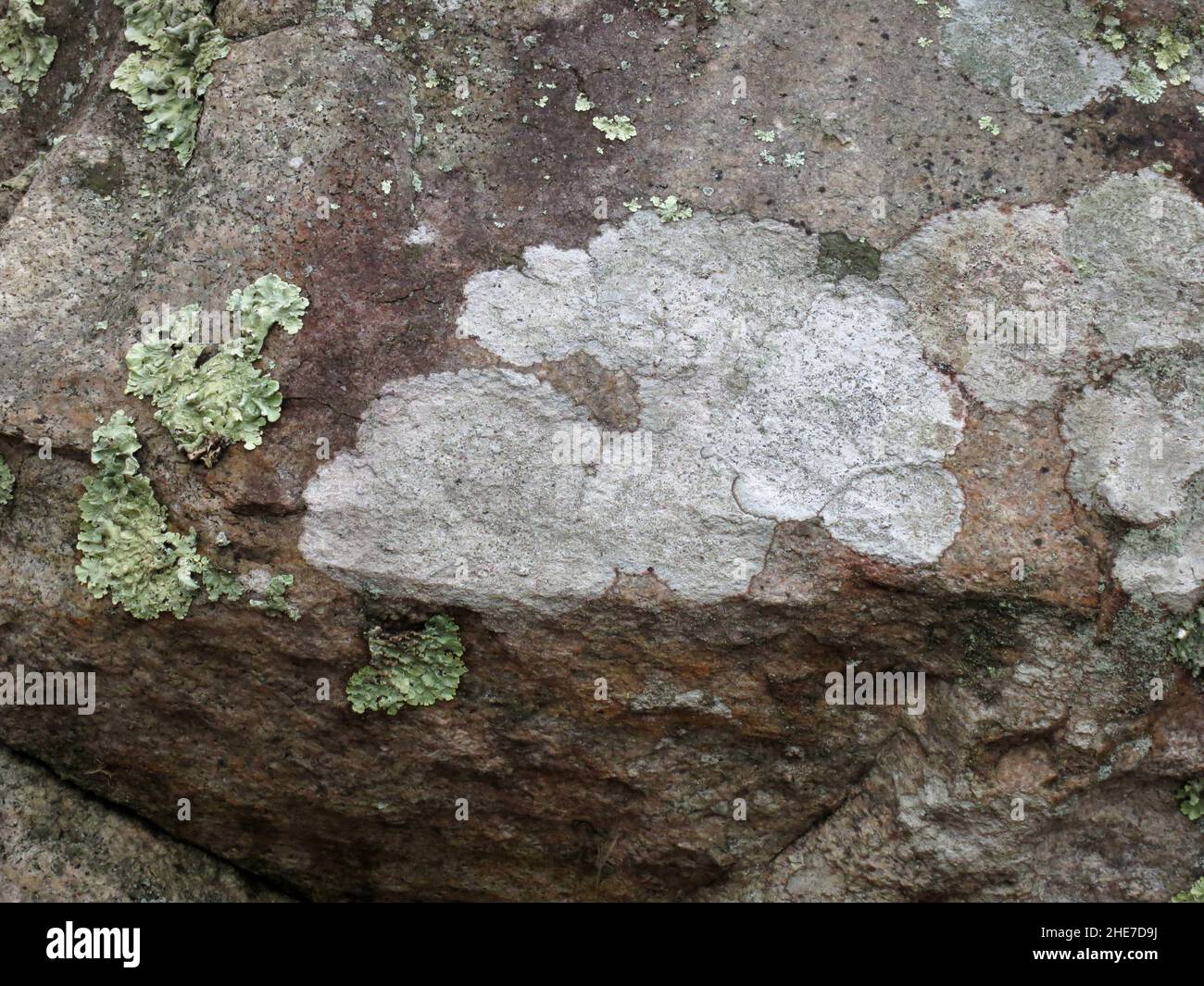 Nahaufnahme der Seite eines großen Felsbrockens mit hellgrünen und weißen Lichen Stockfoto