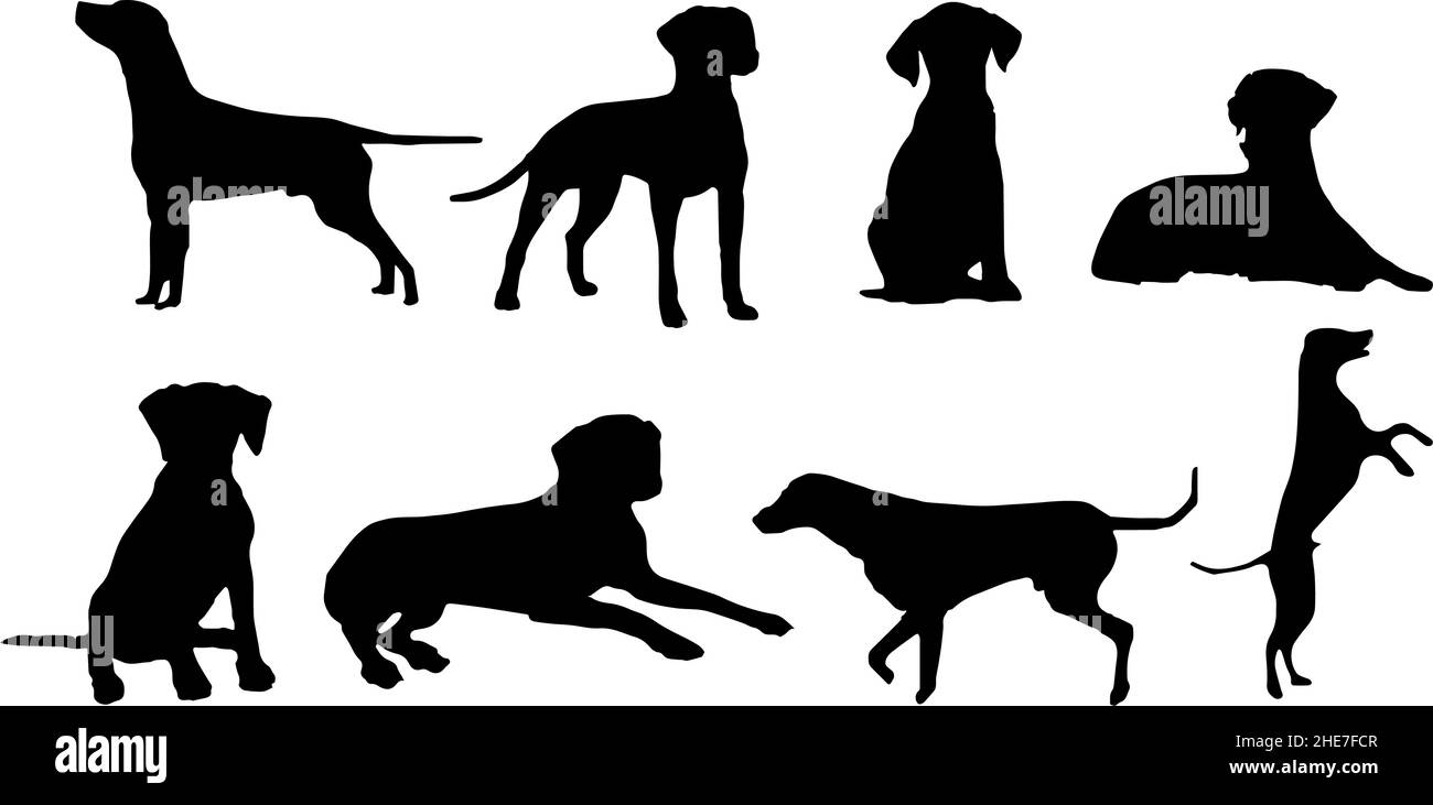 dalmatiner Hund Silhouette Bundle svg Stock Vektor