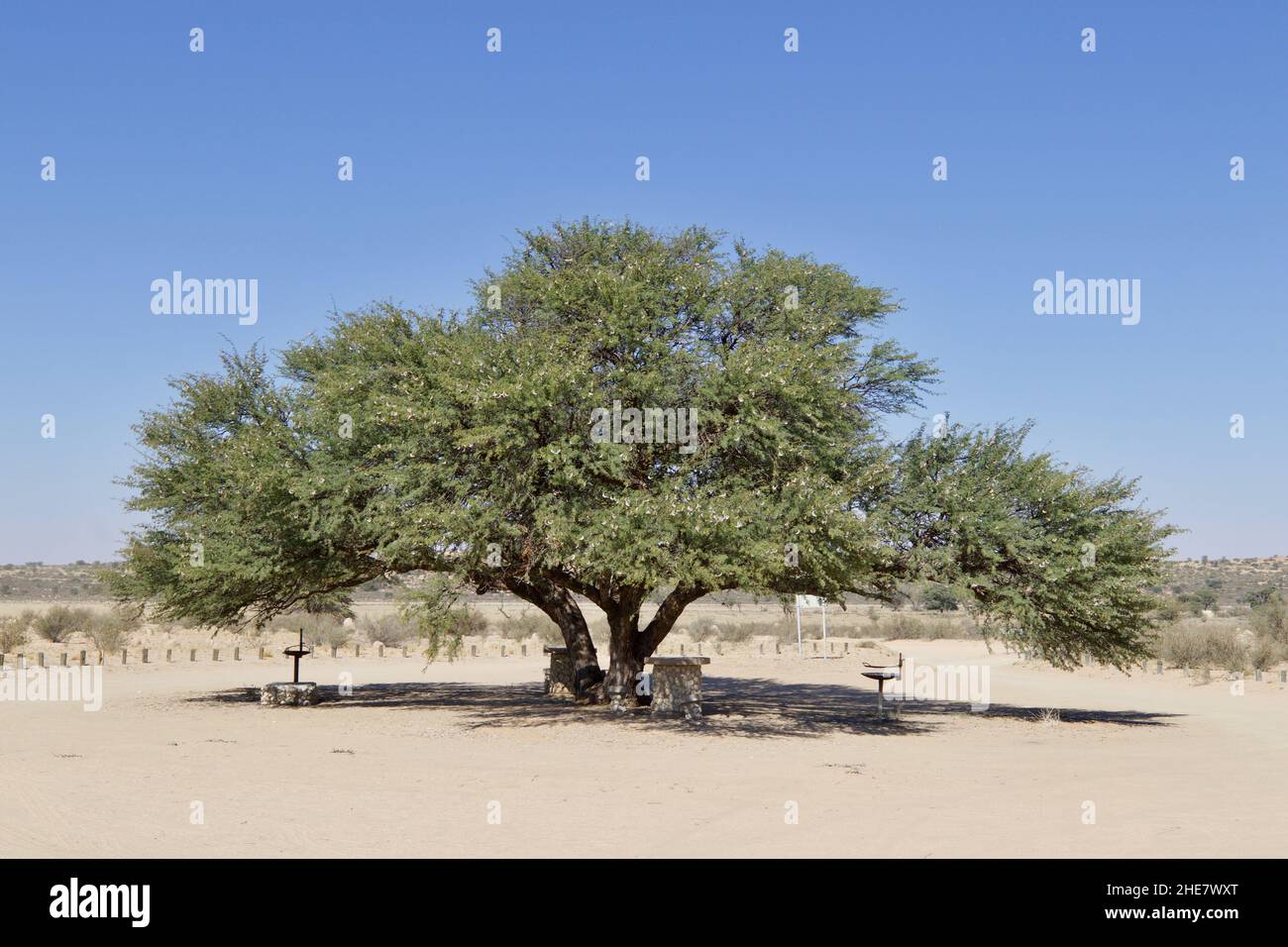 Polentswaer Picknickplatz, Kgalagadi Stockfoto