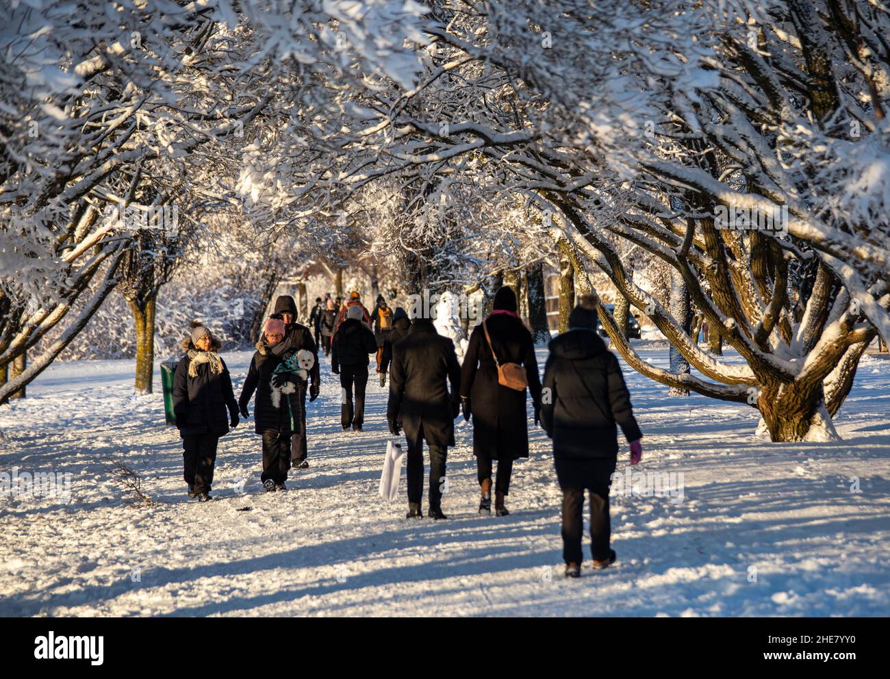 Schneebedeckte Äste über Menschen, die am Epiphanietag in Munkkiniemen ranta, Helsinki, Finnland, einen Spaziergang im Freien machen Stockfoto