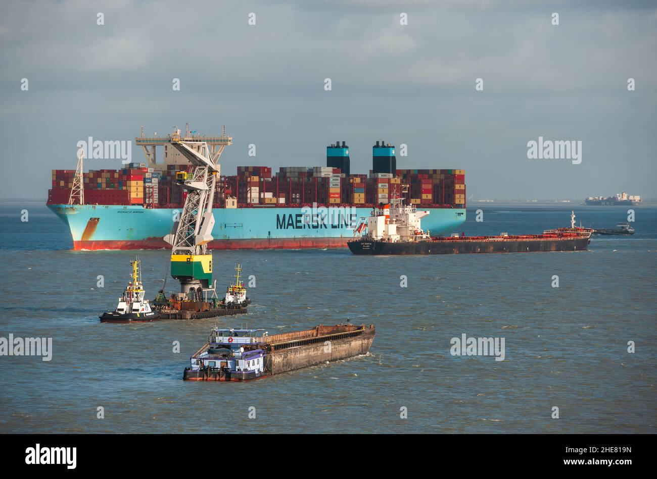 Viel Verkehr auf der Westschelde bei Terneuzen Stockfoto