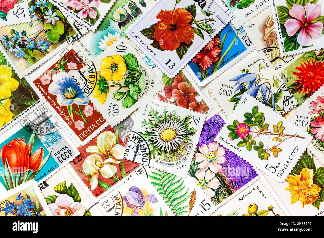 Briefmarken gedruckt in der UdSSR zeigt Blumen Stockfoto