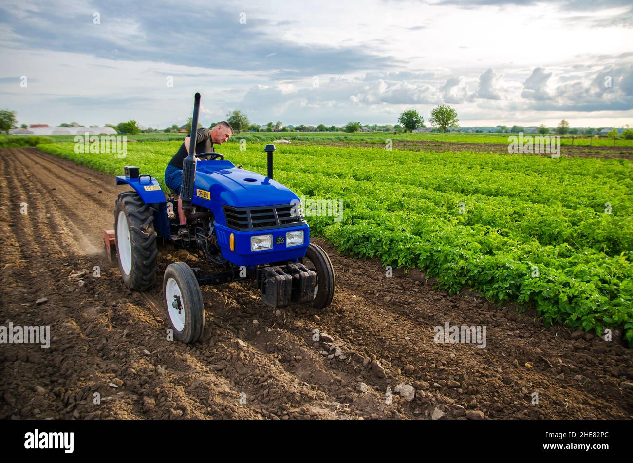 Cherson Oblast, Ukraine - 29. Mai 2021: Seniorbauer arbeitet auf dem Feld auf einem Traktor. Saisonarbeiter. Fräsen von Erde vor dem Schneiden von Reihen. Rekrutierung w Stockfoto
