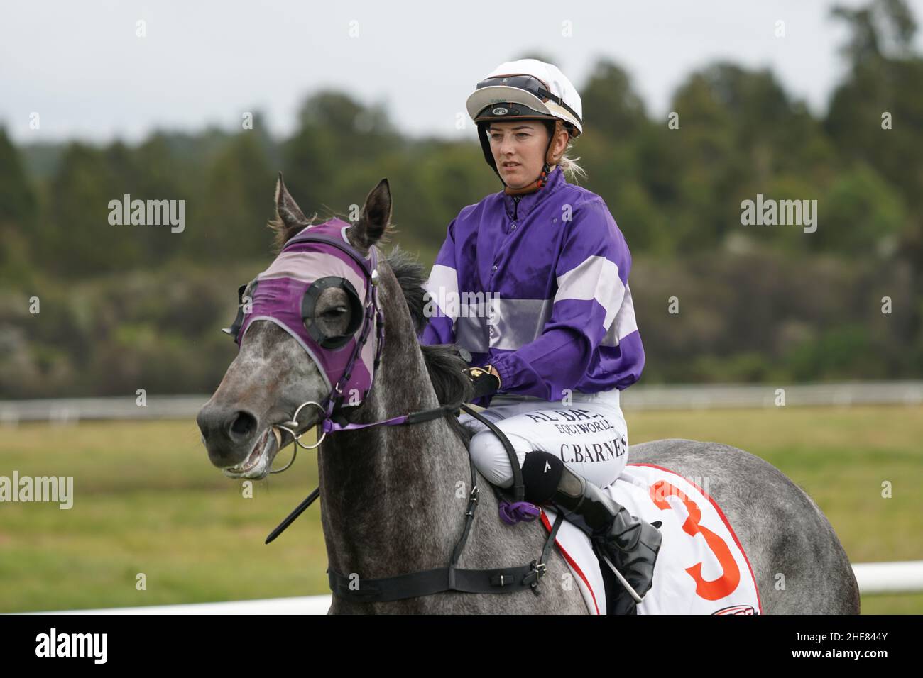 KUMARA, NEUSEELAND, 8. JANUAR 2022; Jockey Courtney Barnes erwärmt ihr Reittier vor einem Rennen beim Gold Nuggets Wettbewerb auf der Kumara Race Track, 8. Januar 2022 . Stockfoto