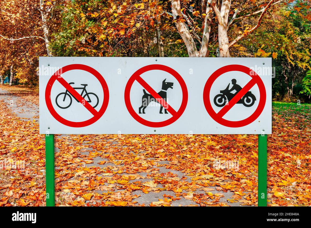 Hund Am Fahrrad Verboten Deutschland
