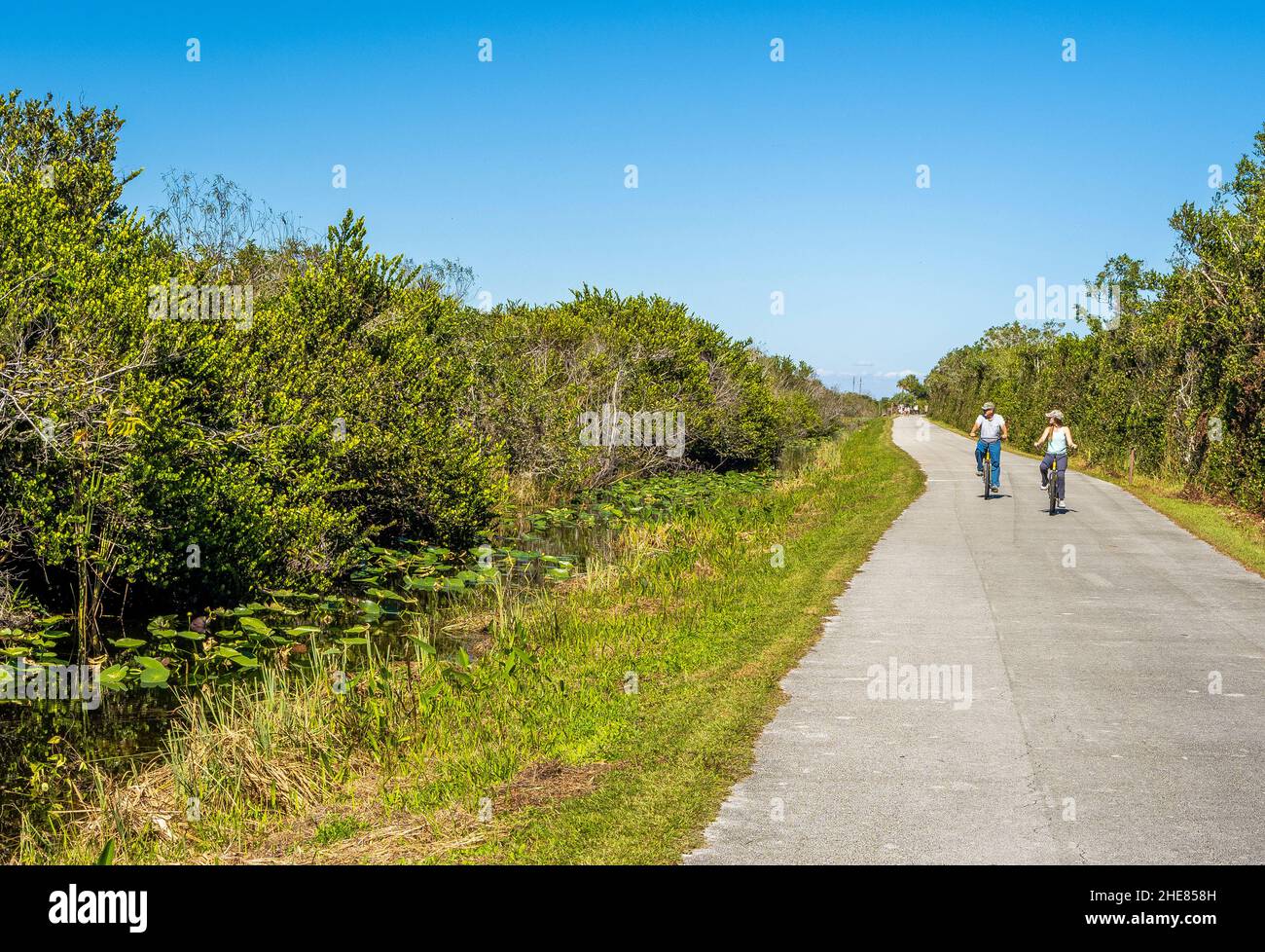 Menschen auf gepflasterten Weg in der Shark Valley Abschnitt der Everglades National Park Florida USA Stockfoto