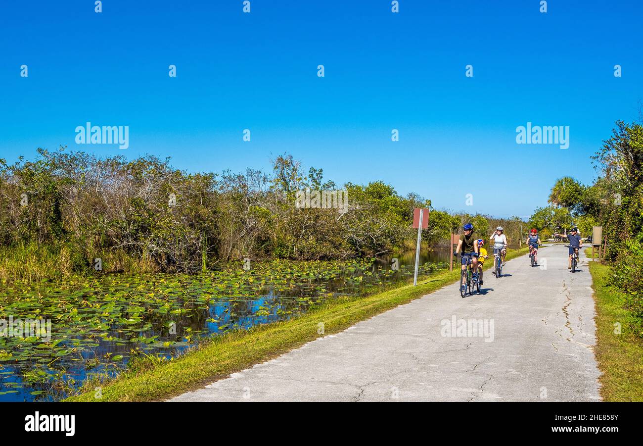 Menschen auf gepflasterten Weg in der Shark Valley Abschnitt der Everglades National Park Florida USA Stockfoto