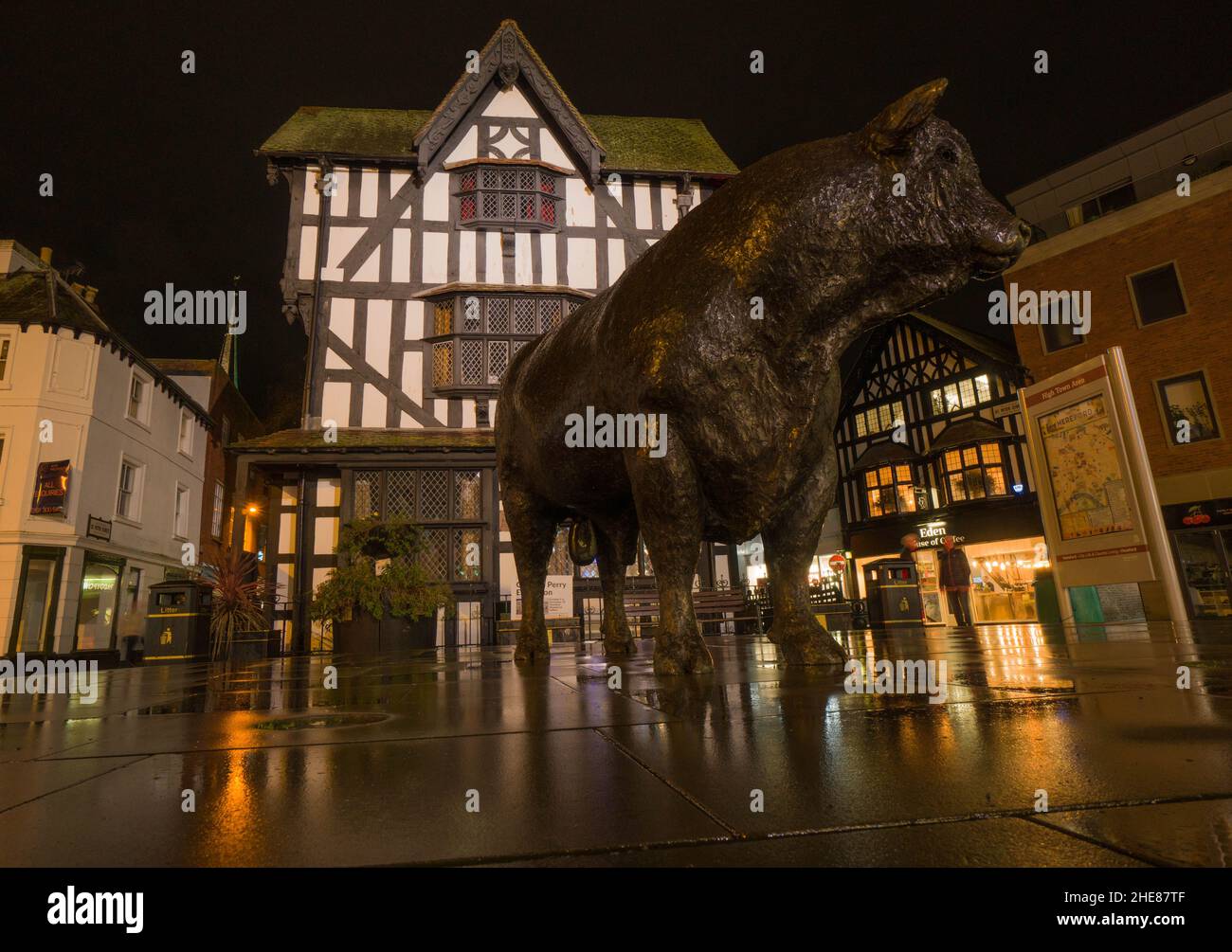 Nachtansicht der Statue von Hereford Bull, die vor dem alten Haus steht Hereford, Herefordshire, Großbritannien. Dezember 2021. Stockfoto