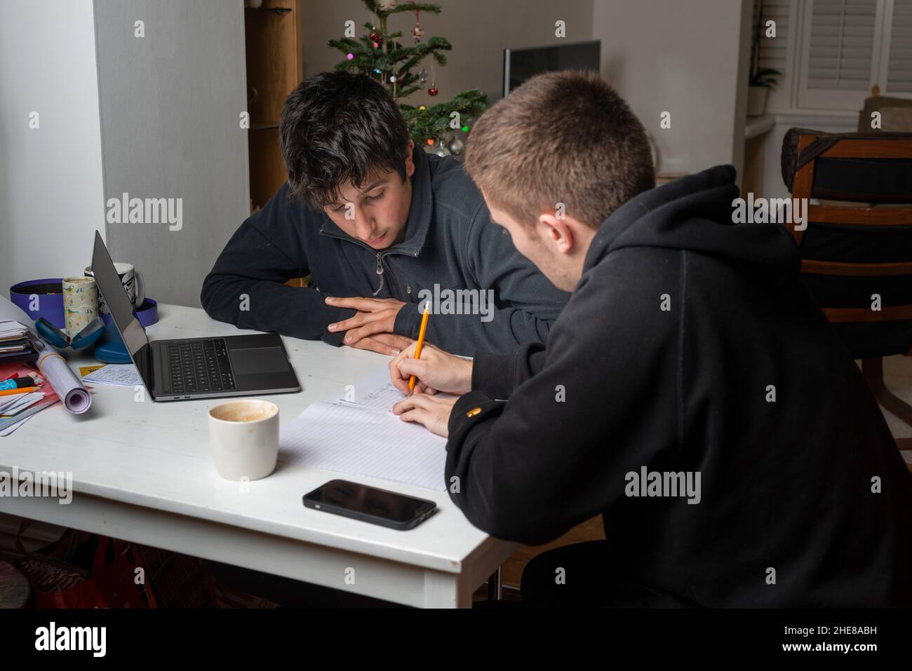 Jungen lernen zusammen und bereiten sich während der Weihnachtsferien auf Prüfungen vor Stockfoto