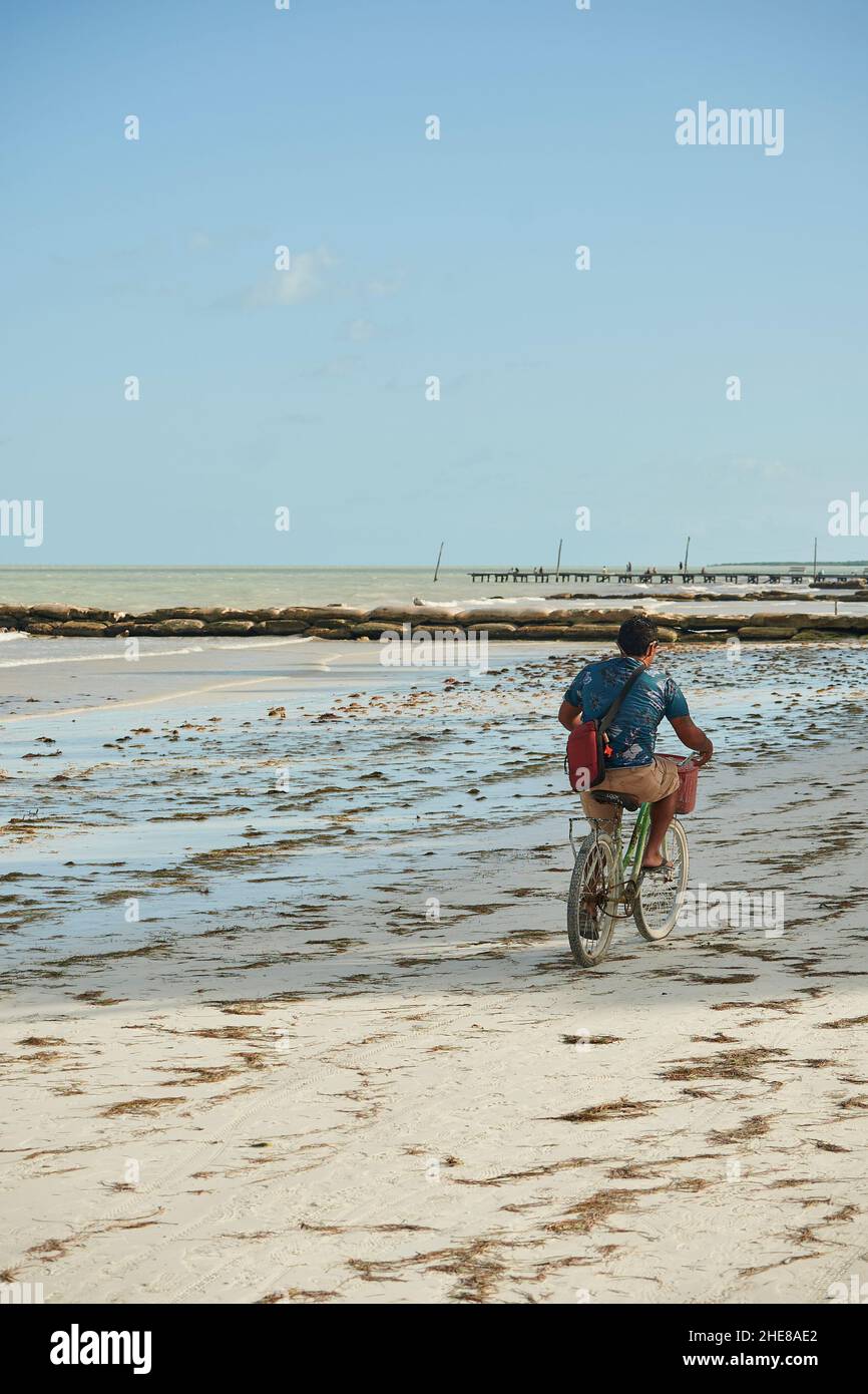 Mann auf dem Fahrrad am Strand, Isla Holbox, Mexiko Stockfoto