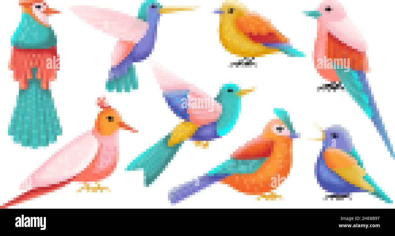 Flache Ziervögel. Exotische Vögel, bunte Tiere. Isolierter fliegender Kolibri. Moderne Kunst, strukturierte wilde Waldelemente. Schwüliger Wald Stock Vektor