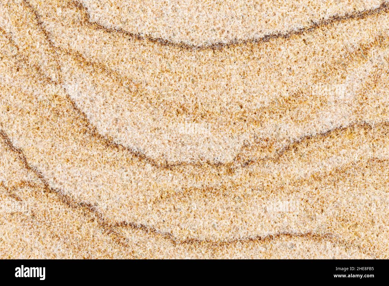 Makrodetailansicht der geschnittenen Sandsteinplatte. Stockfoto