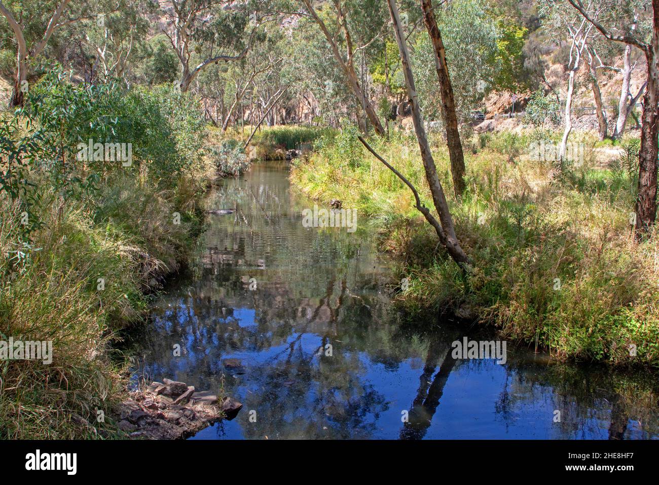 Der Fluss Torrens, der aus den Adelaide Hills fließt Stockfoto