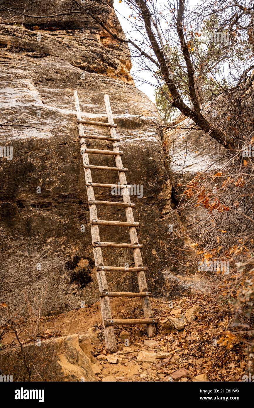 Hölzerne Leiter führt die Felswand auf dem Cave Spring Trail im Canyonlands National Park hinauf Stockfoto