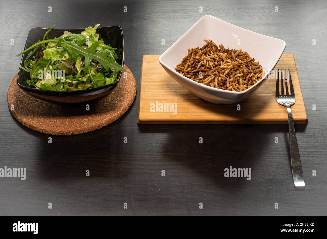 Gericht aus Mehlwürmern und Salat, Konzept der alternativen Proteinquelle aus essbaren Insekten Stockfoto