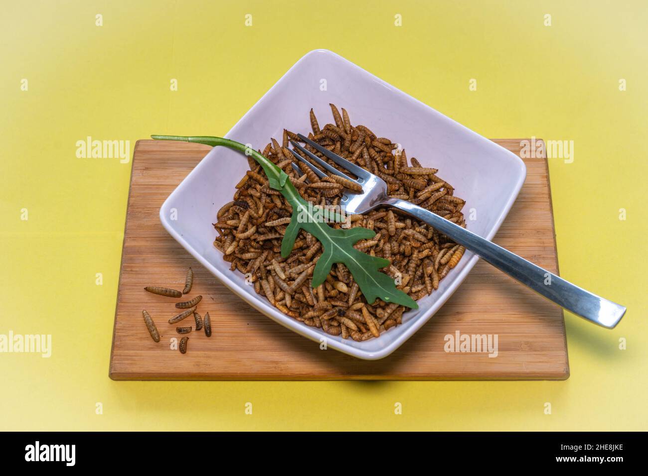 Mehlwürmer in einer Schüssel mit einer Gabel, alternative eiweißreiche Ernährung von essbaren Insekten Stockfoto