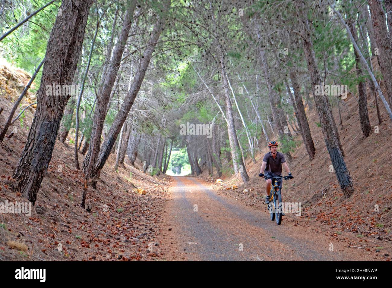 Auf dem Coast to Vines Rail Trail radeln Sie durch einen alten Schnitt in Old Reynella Stockfoto