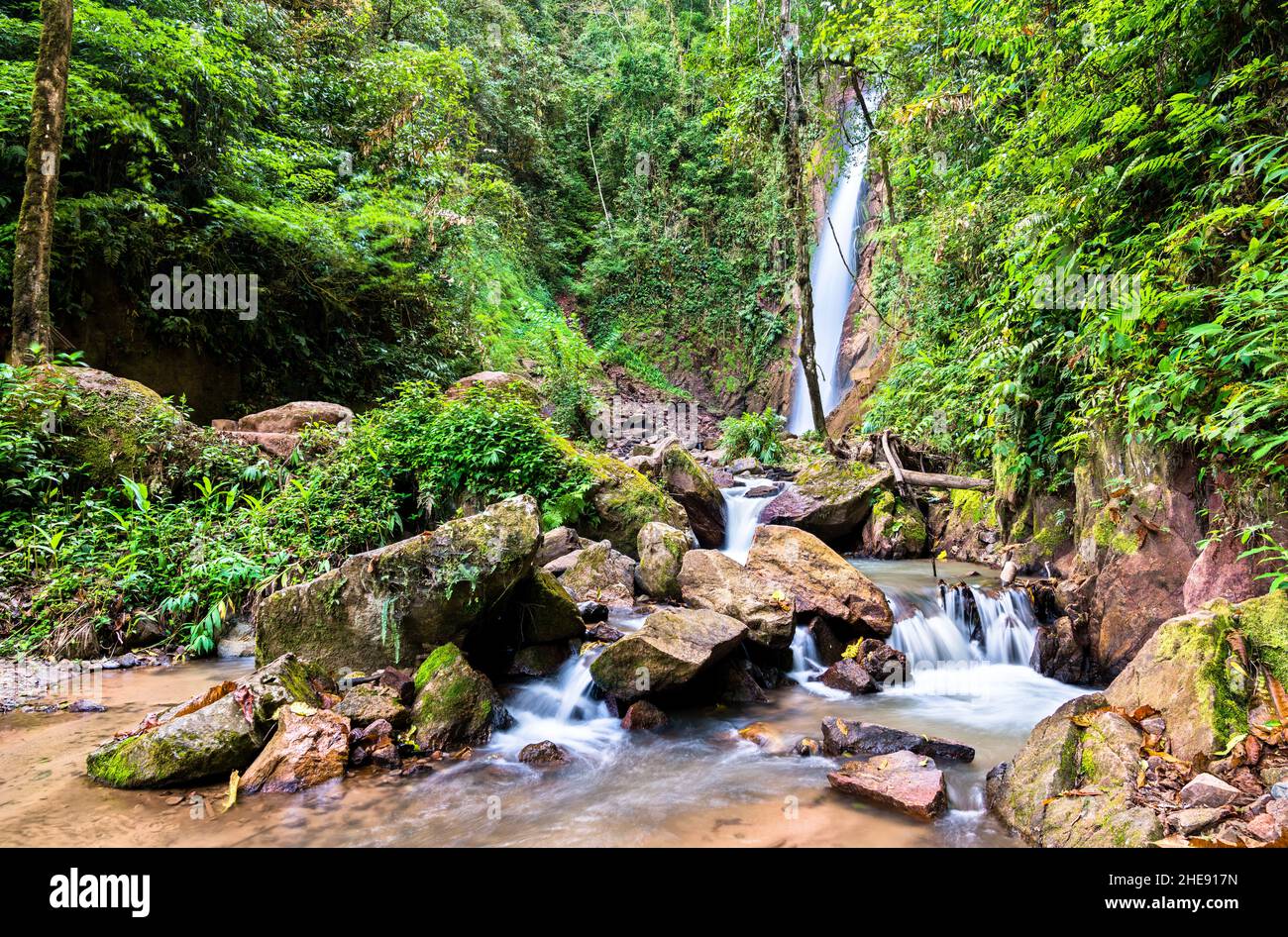 Wasserfall El Tirol im Dschungel von Chanchamayo in Peru Stockfoto