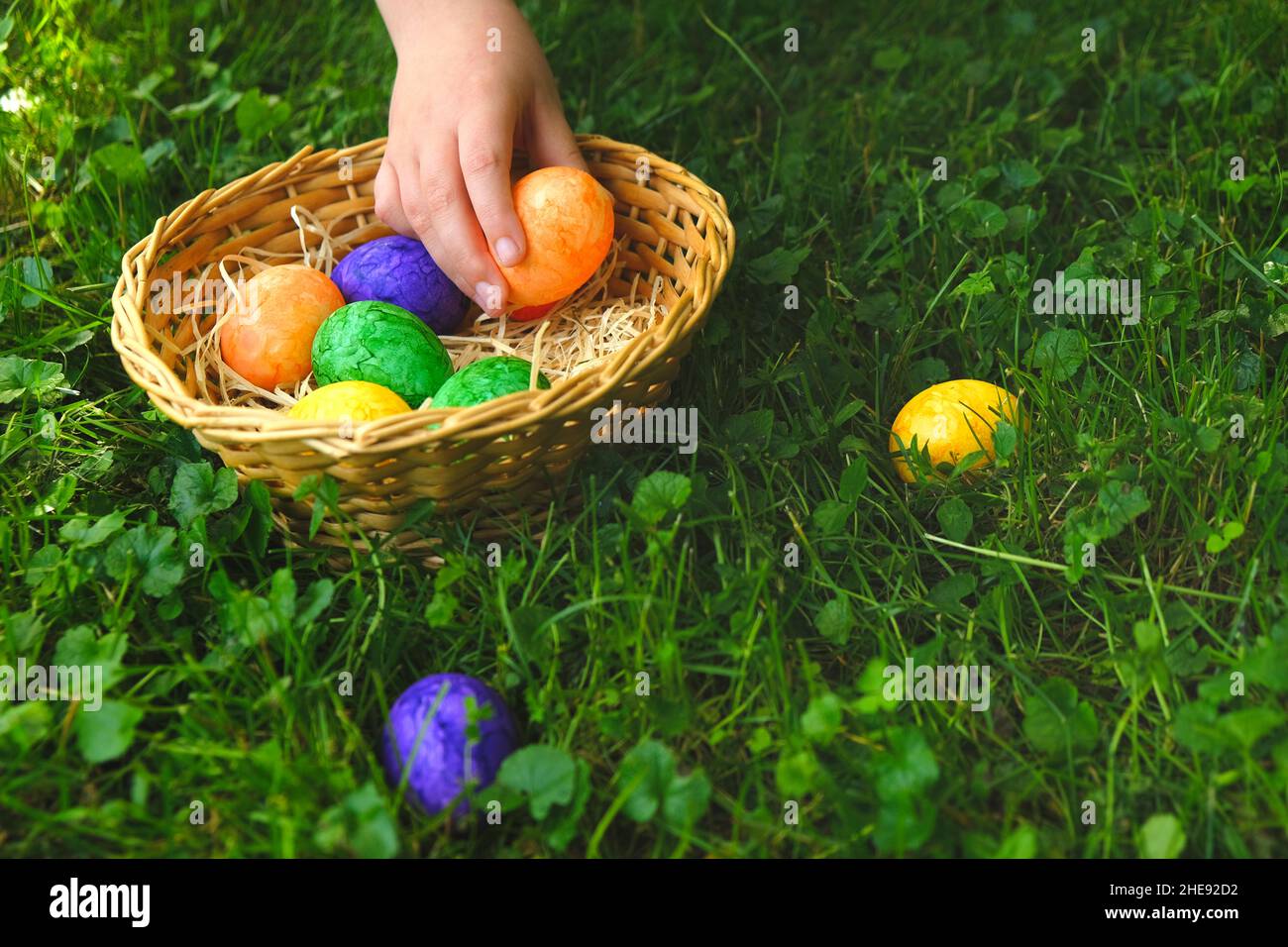 Osterei . Sammeln von Ostereiern. Das Kind sammelt Ostereier und legt sie in einen Korb im Frühlingsgarten.Bunte ostereier. Religiöser Feiertag Stockfoto